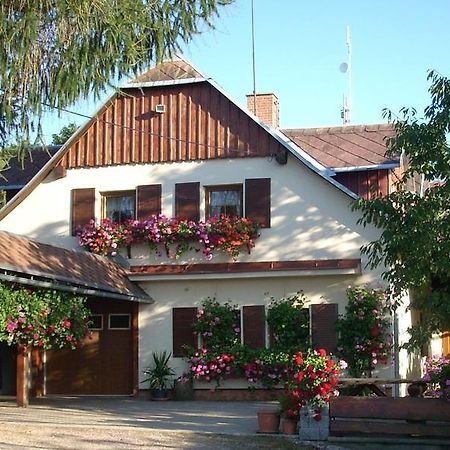 Pension Ivanka Jestrabi V Krkonosich Esterno foto