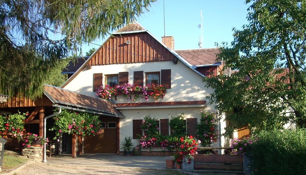 Pension Ivanka Jestrabi V Krkonosich Esterno foto